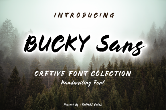 Bucky: A Retro Handwritten Font for Modern Web Design