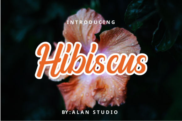 Hibiscus: A Warm Handwritten Font for Web Design