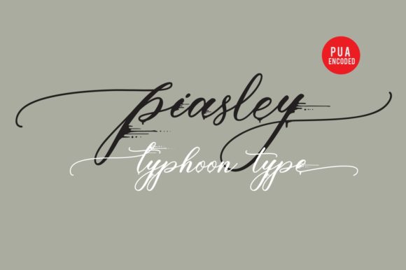 Piasley: An Elegant Script Font for Brand Identity