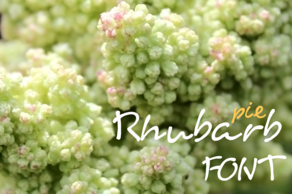 Rhubarb Pie: A Whimsical Handwritten Font for Editors